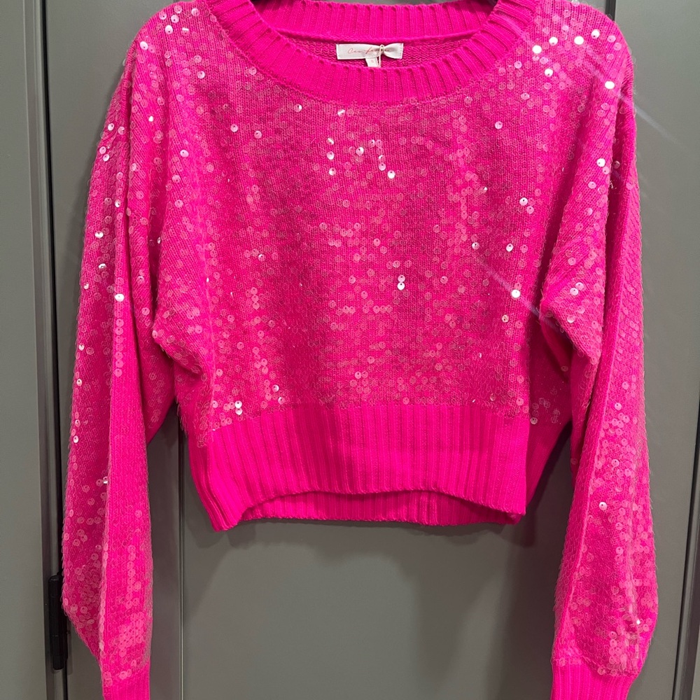 Trendy Pink Sequin Sweater